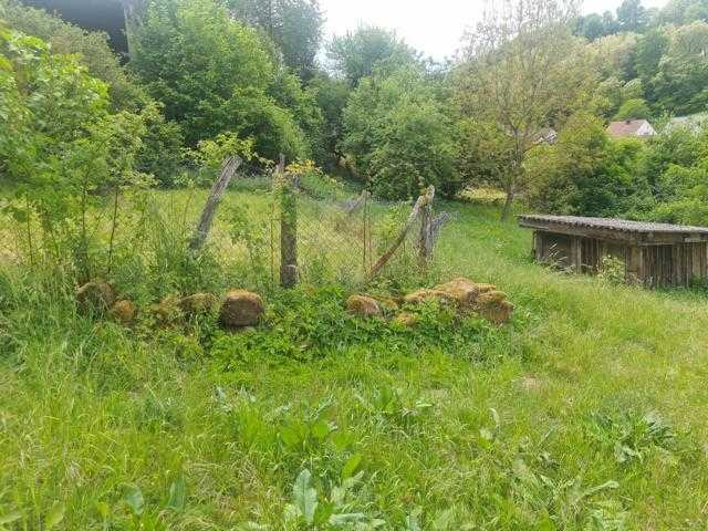Foto 4_Gartenansicht