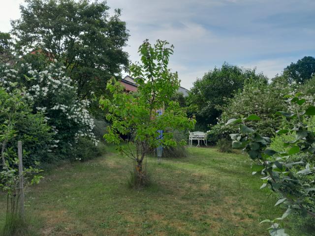 12. Bild
